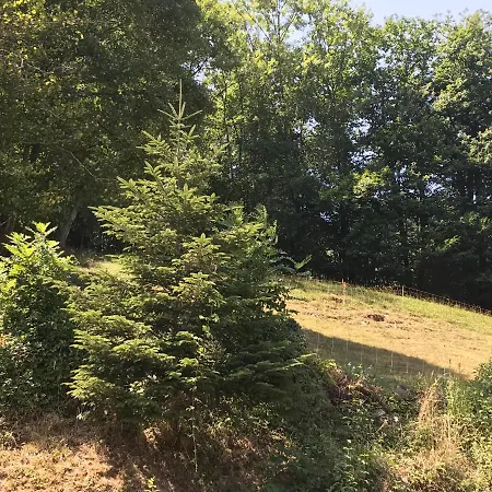 D'hote Aux Pivoines Frühstückspension Nistos